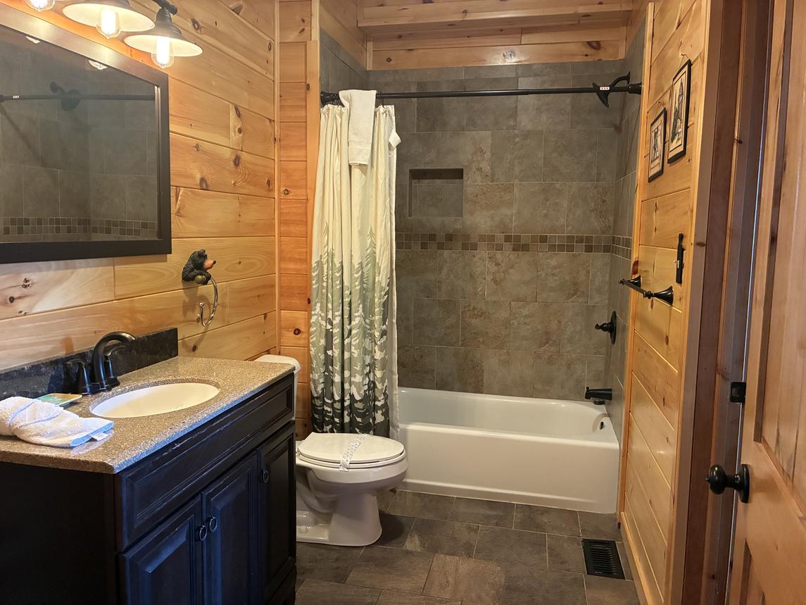 Beartastic Mountain View Lodge - New