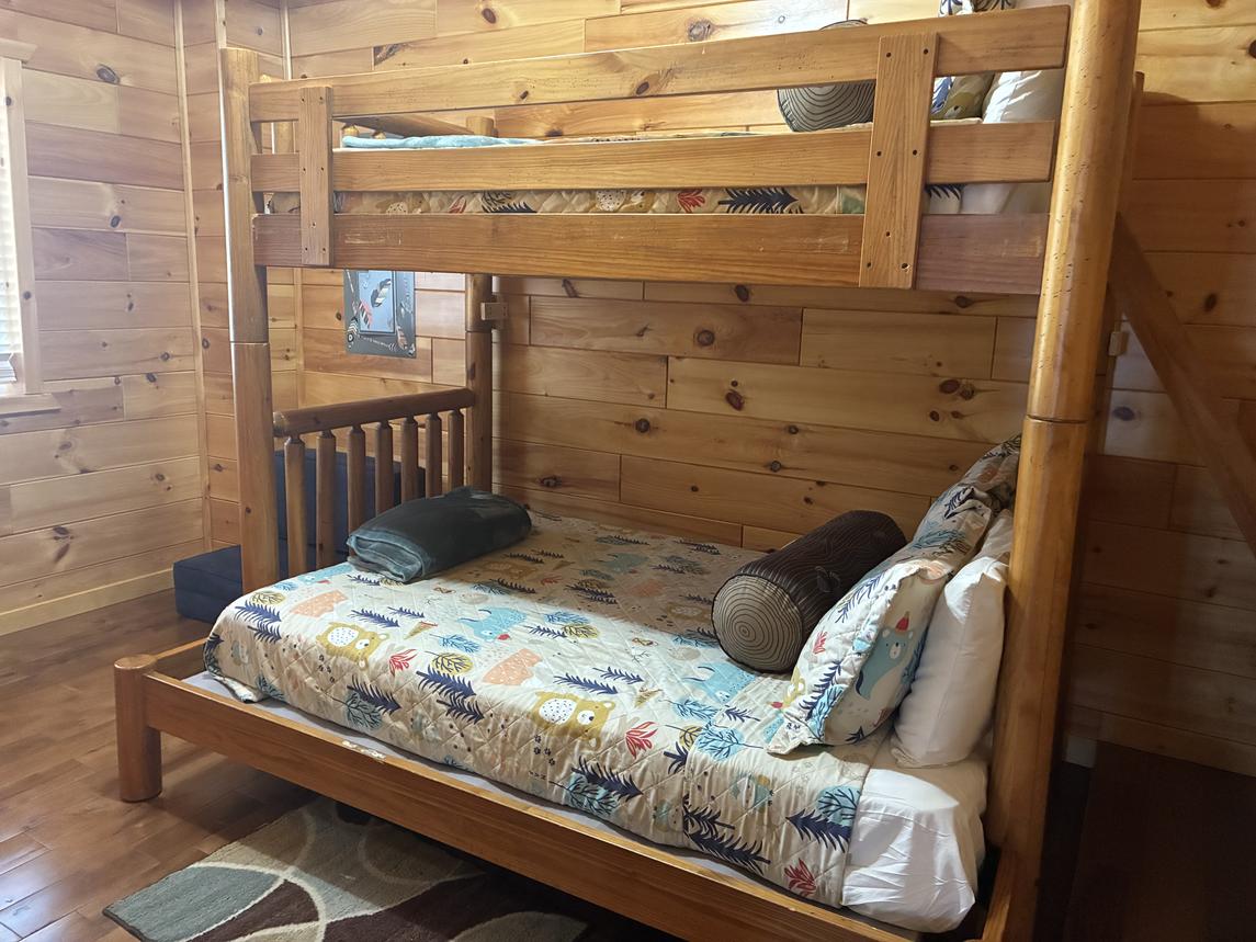 Beartastic Mountain View Lodge - New