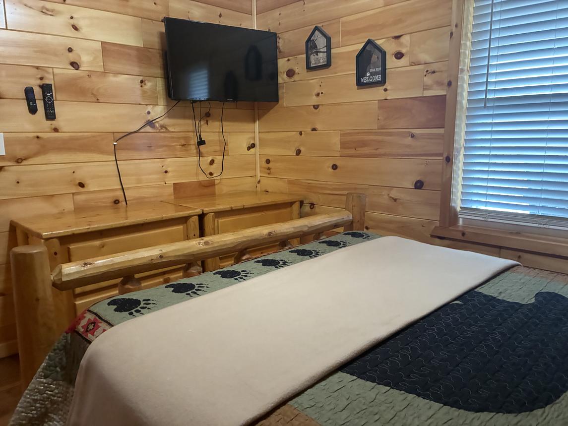 Beartastic Mountain View Lodge - New