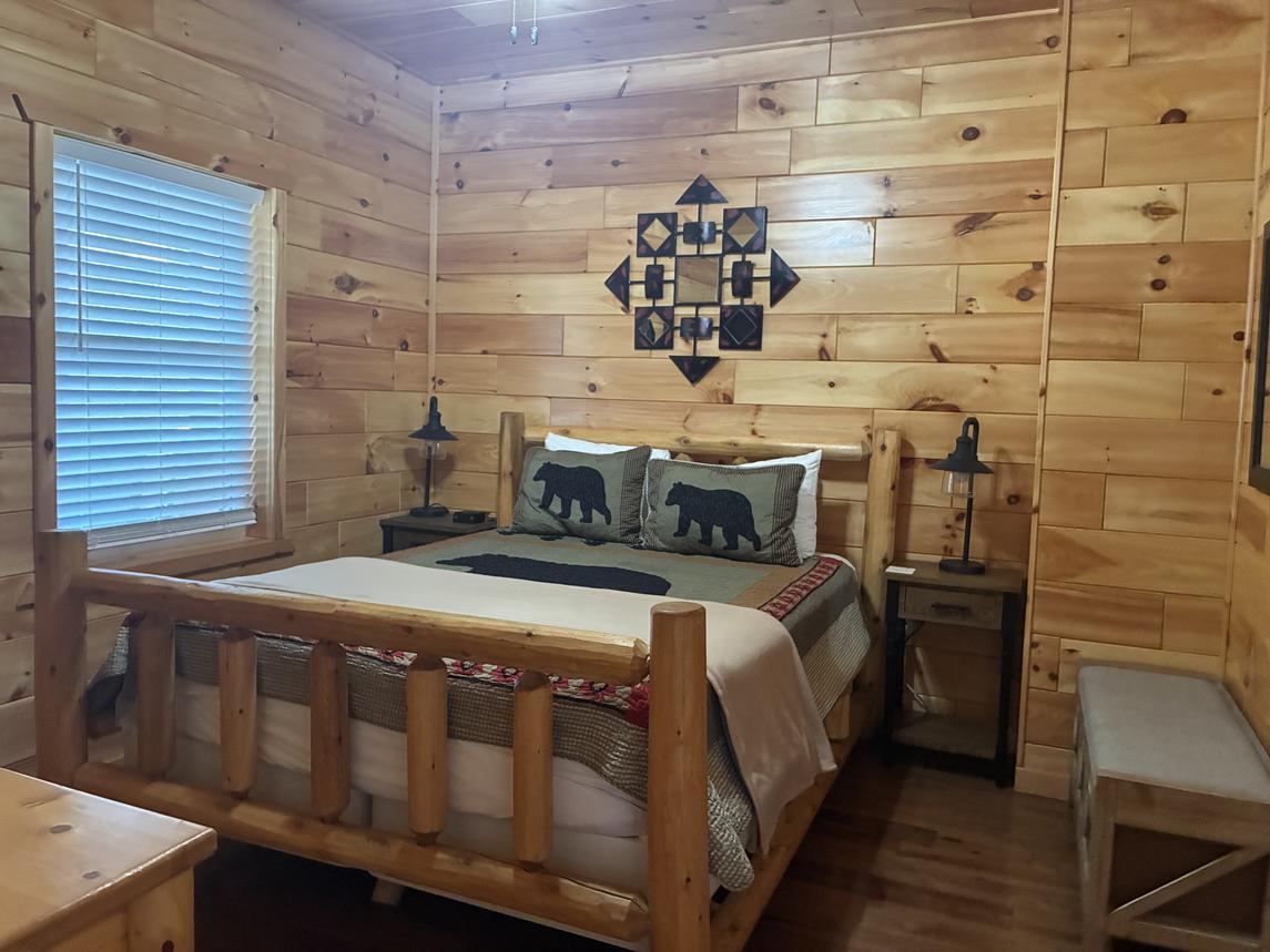 Beartastic Mountain View Lodge - New