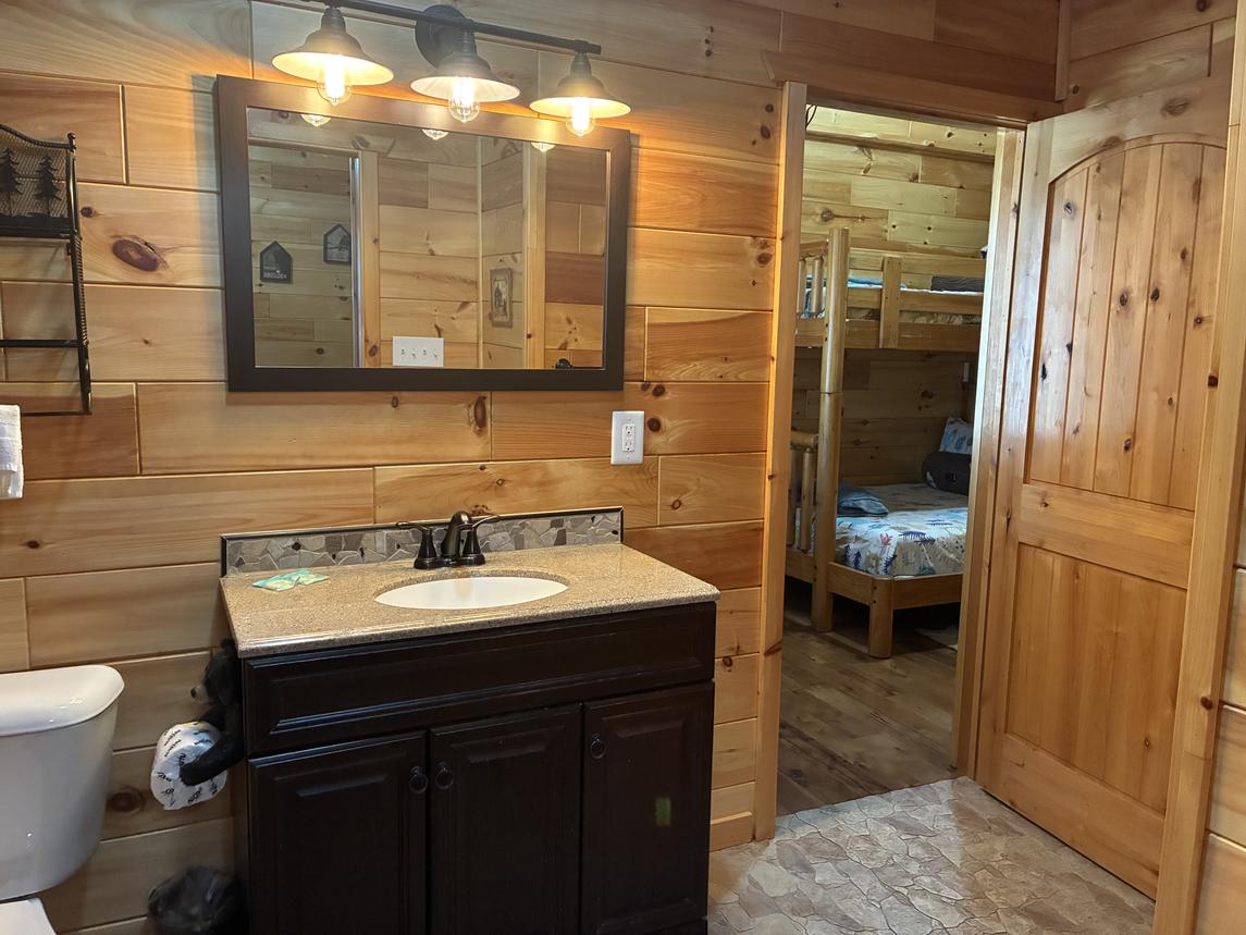 Beartastic Mountain View Lodge - New