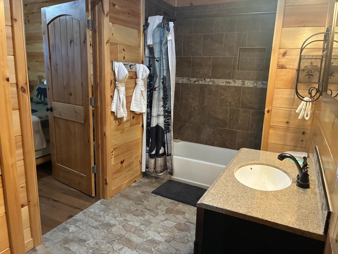 Beartastic Mountain View Lodge - New