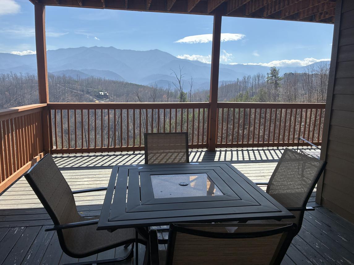 Beartastic Mountain View Lodge - New