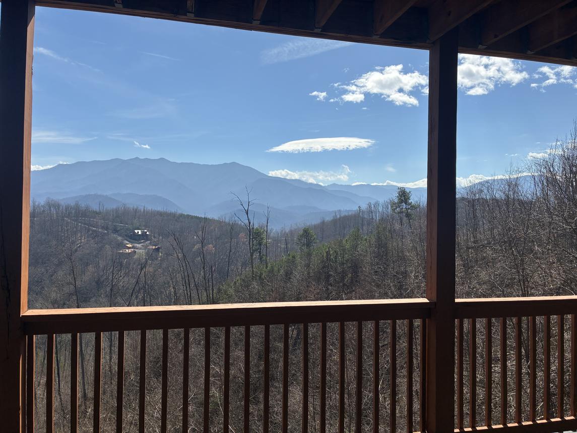 Beartastic Mountain View Lodge - New