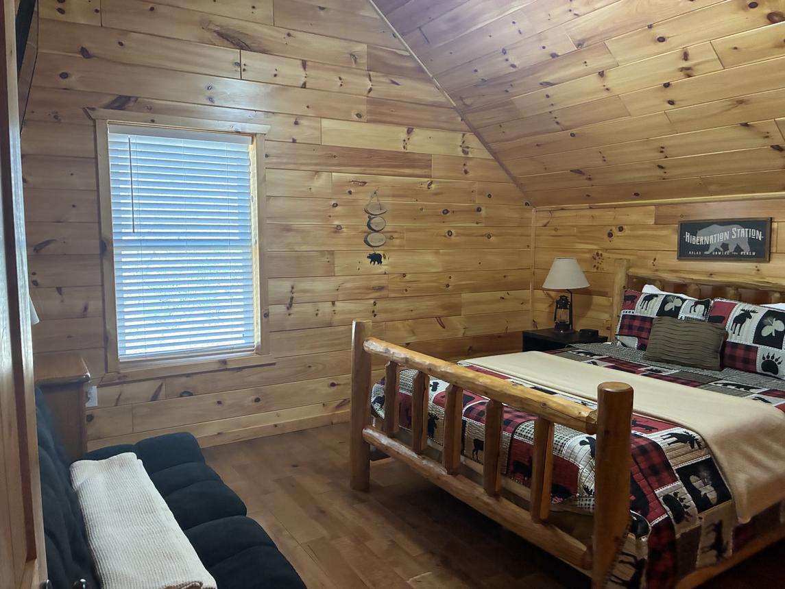 Beartastic Mountain View Lodge - New