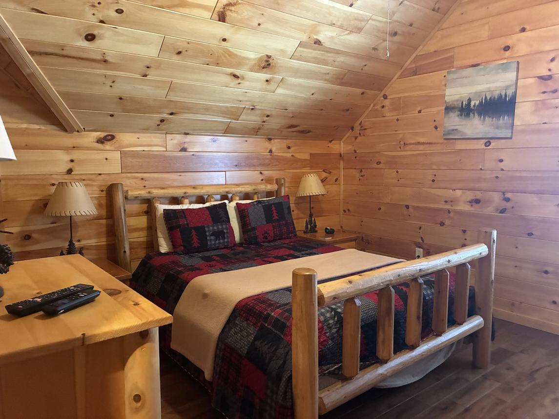 Beartastic Mountain View Lodge - New