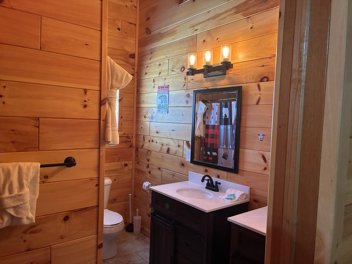 Beartastic Mountain View Lodge - New