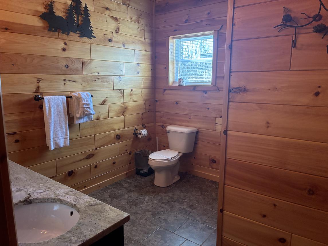 Beartastic Mountain View Lodge - New