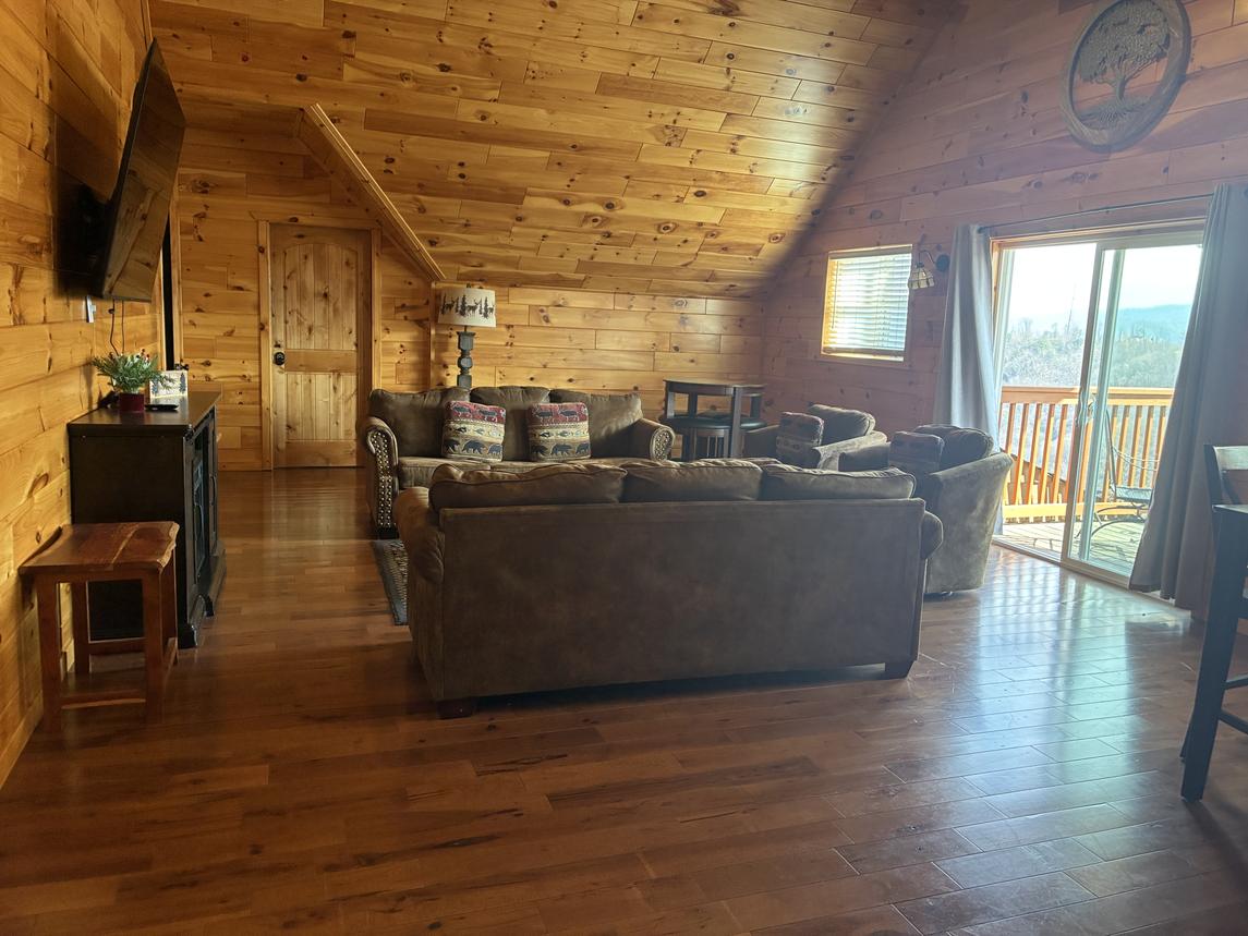 Beartastic Mountain View Lodge - New