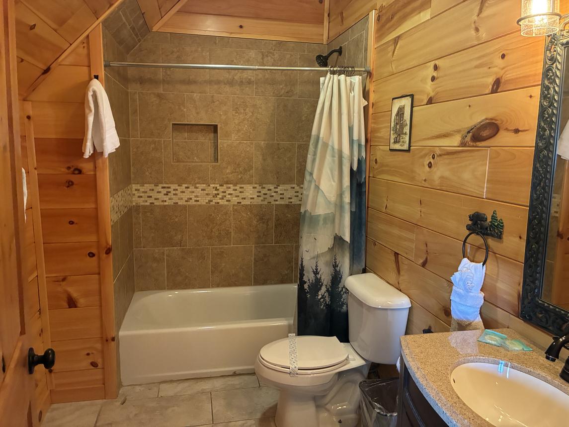 Beartastic Mountain View Lodge - New