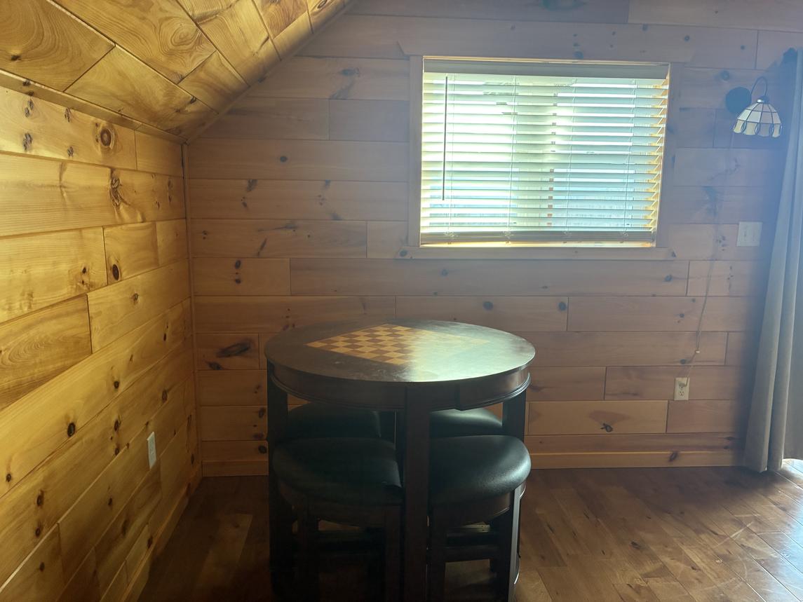 Beartastic Mountain View Lodge - New