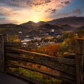 Beartastic Mountain View Lodge - New