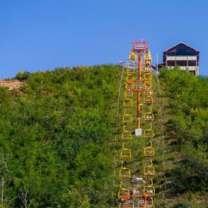 Beartastic Mountain View Lodge - New
