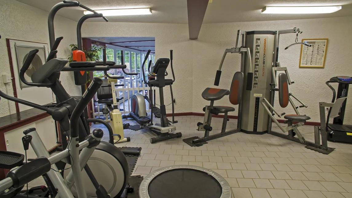 Beartastic Mountain View Lodge - New