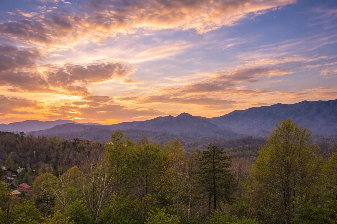 Mountain Laurel Lookout 