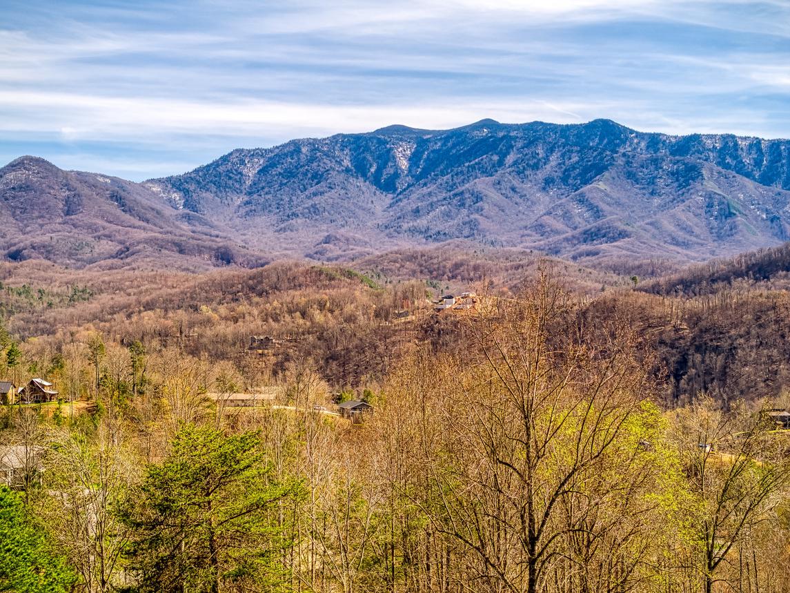 Mountain Laurel Lookout 