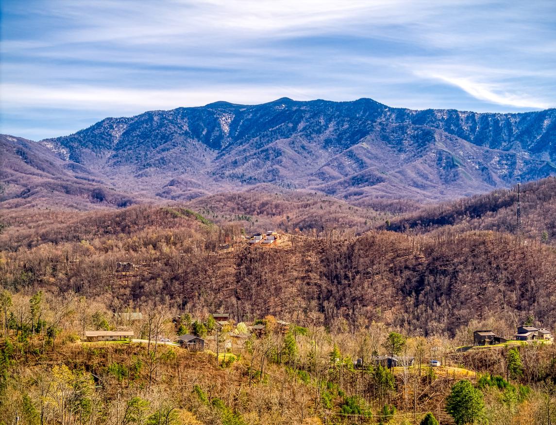 Mountain Laurel Lookout 