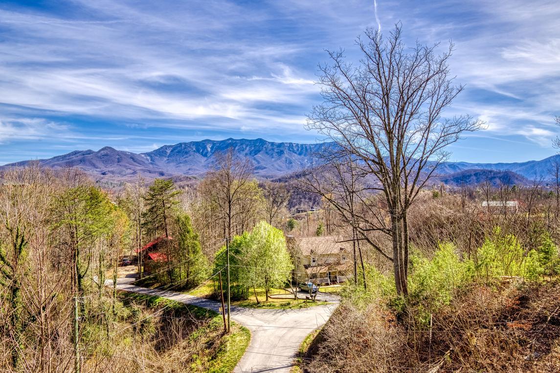 Mountain Laurel Lookout 