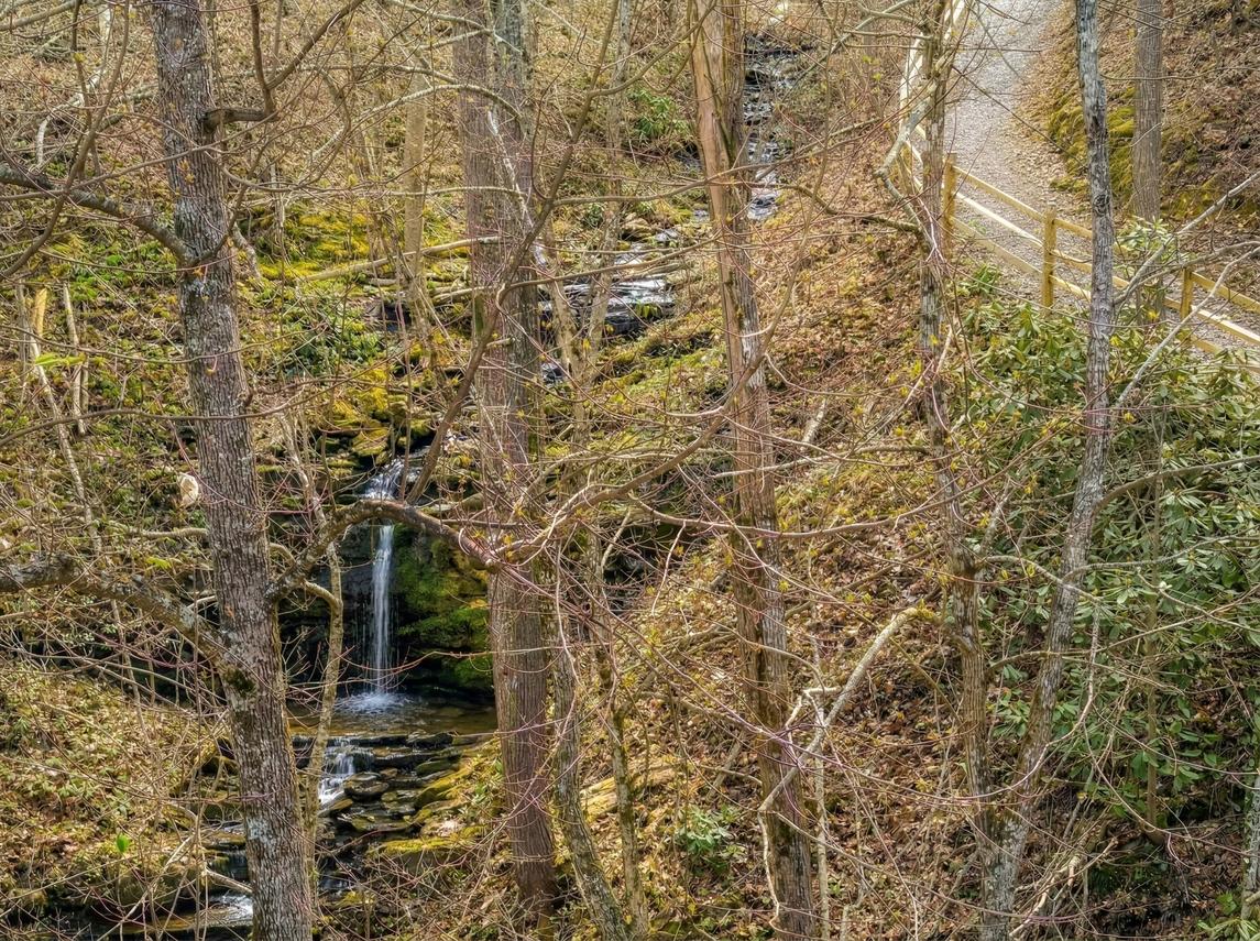 Whiskey Splash - New listing