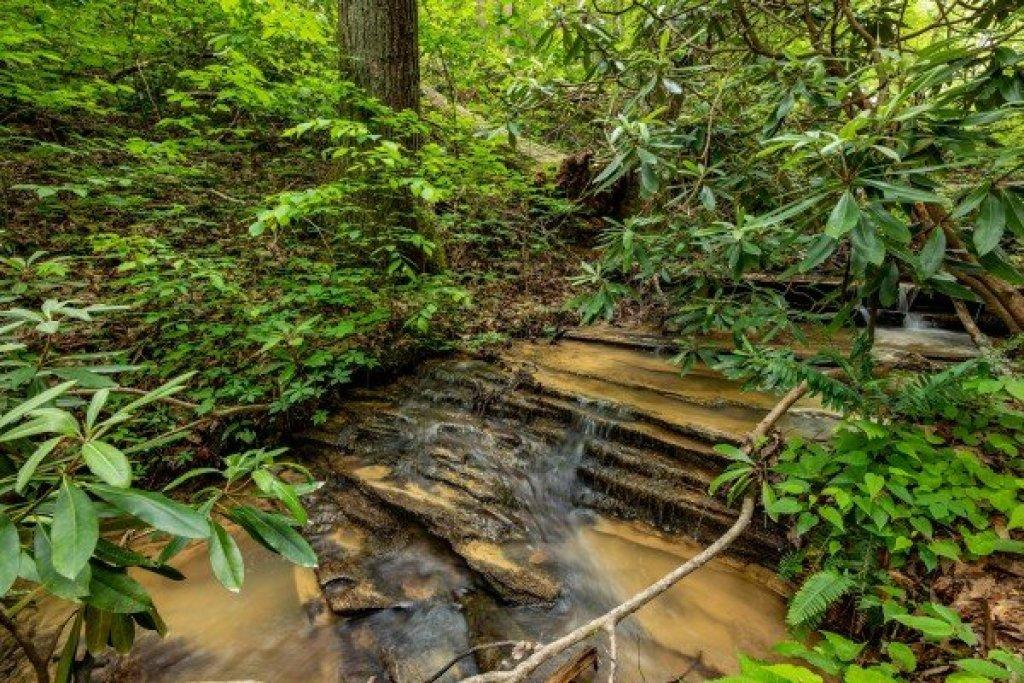 Whiskey Splash - New listing