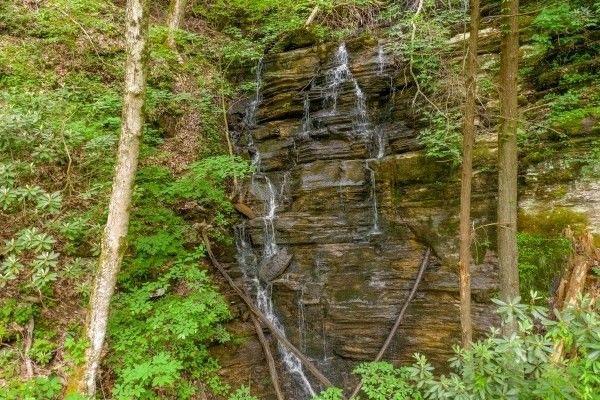 Whiskey Splash - New listing