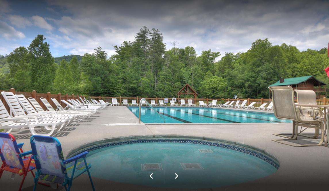 Honey Bear- New Listing