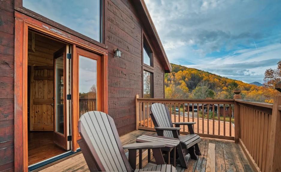 Honey Bear- New Listing