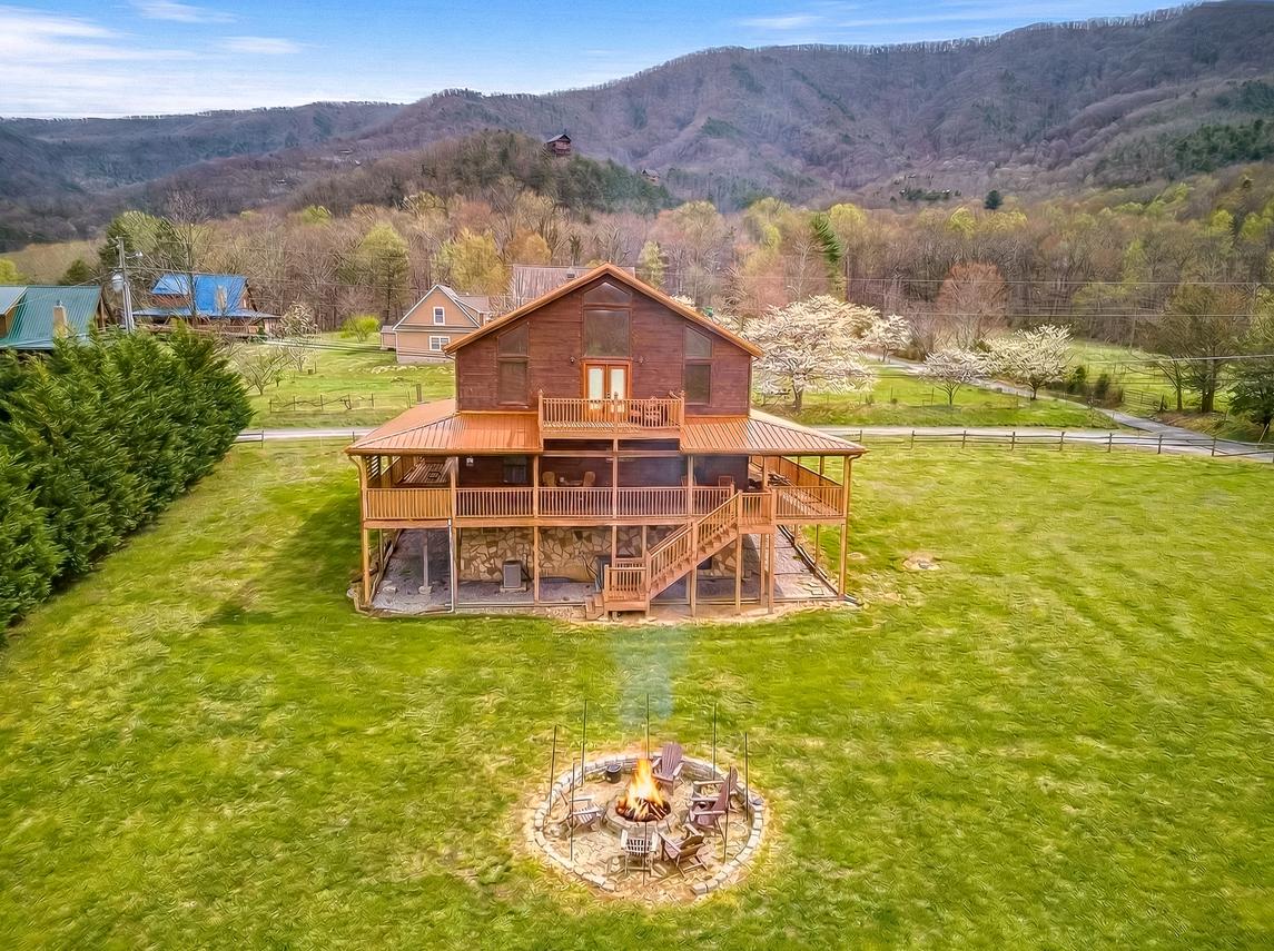 Honey Bear- New Listing