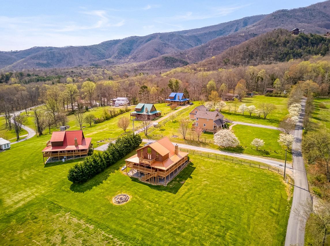 Honey Bear- New Listing