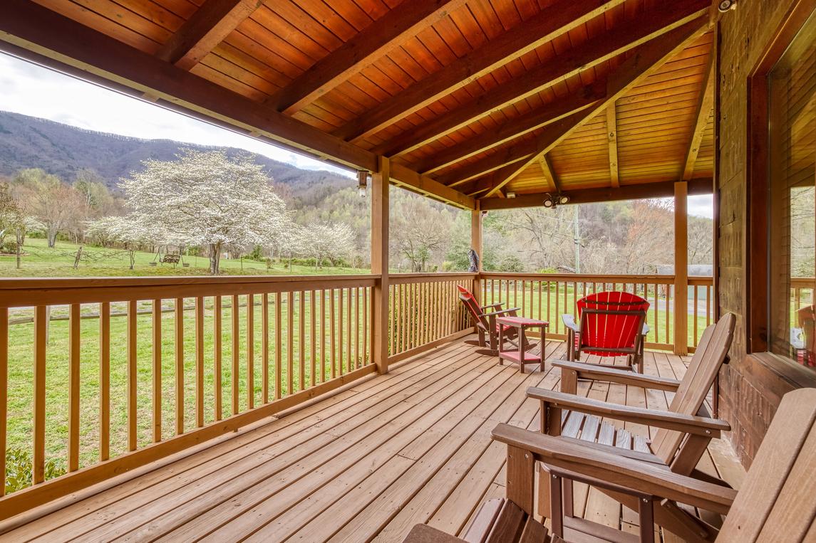 Honey Bear- New Listing