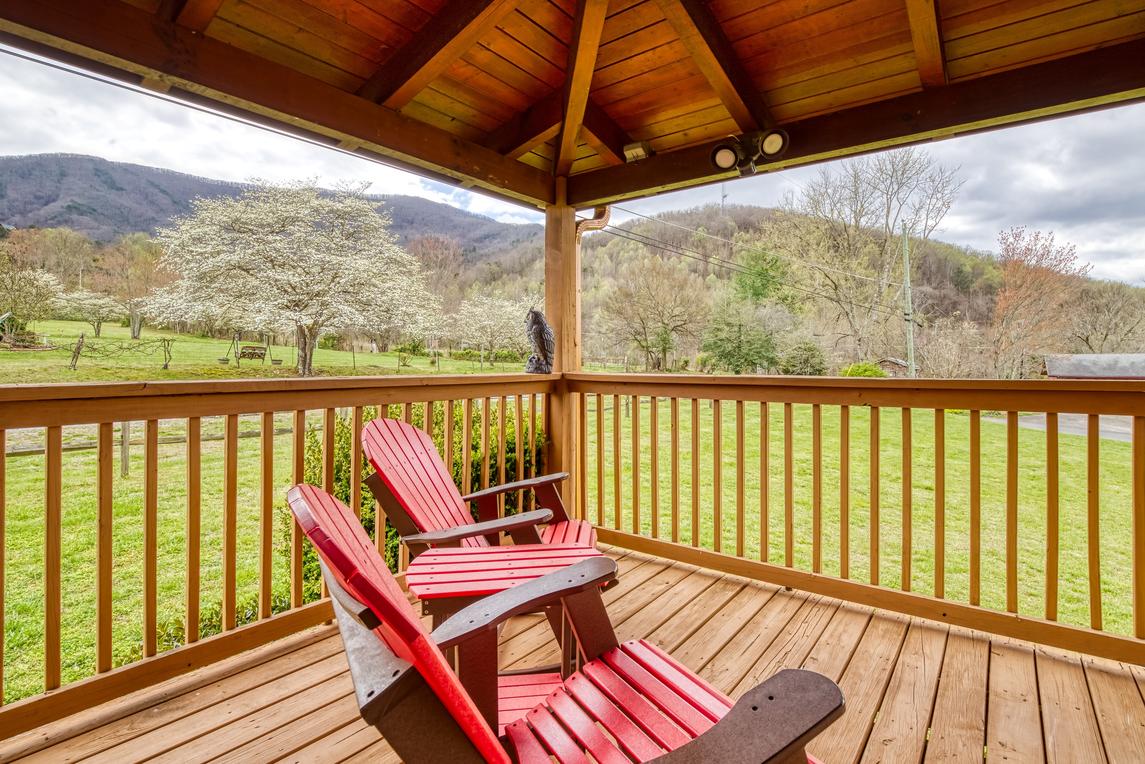 Honey Bear- New Listing