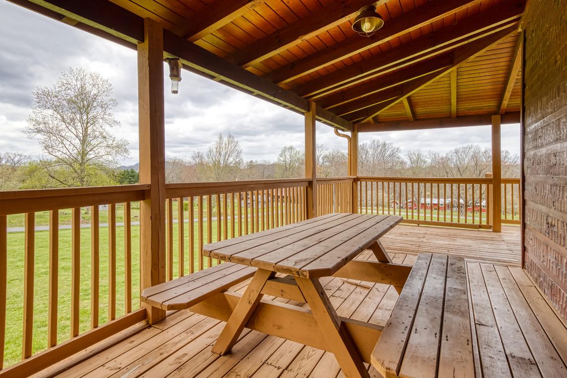 Honey Bear- New Listing