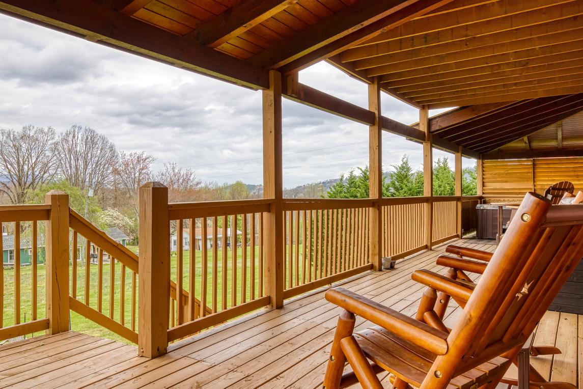 Honey Bear- New Listing