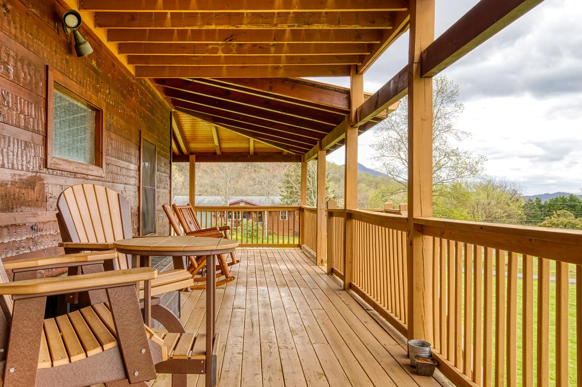 Honey Bear- New Listing