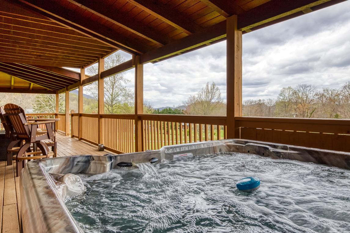 Honey Bear- New Listing