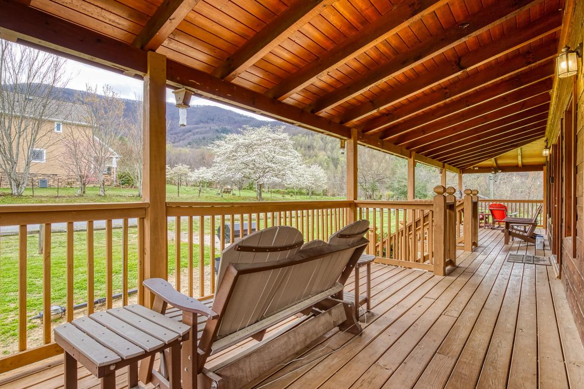 Honey Bear- New Listing