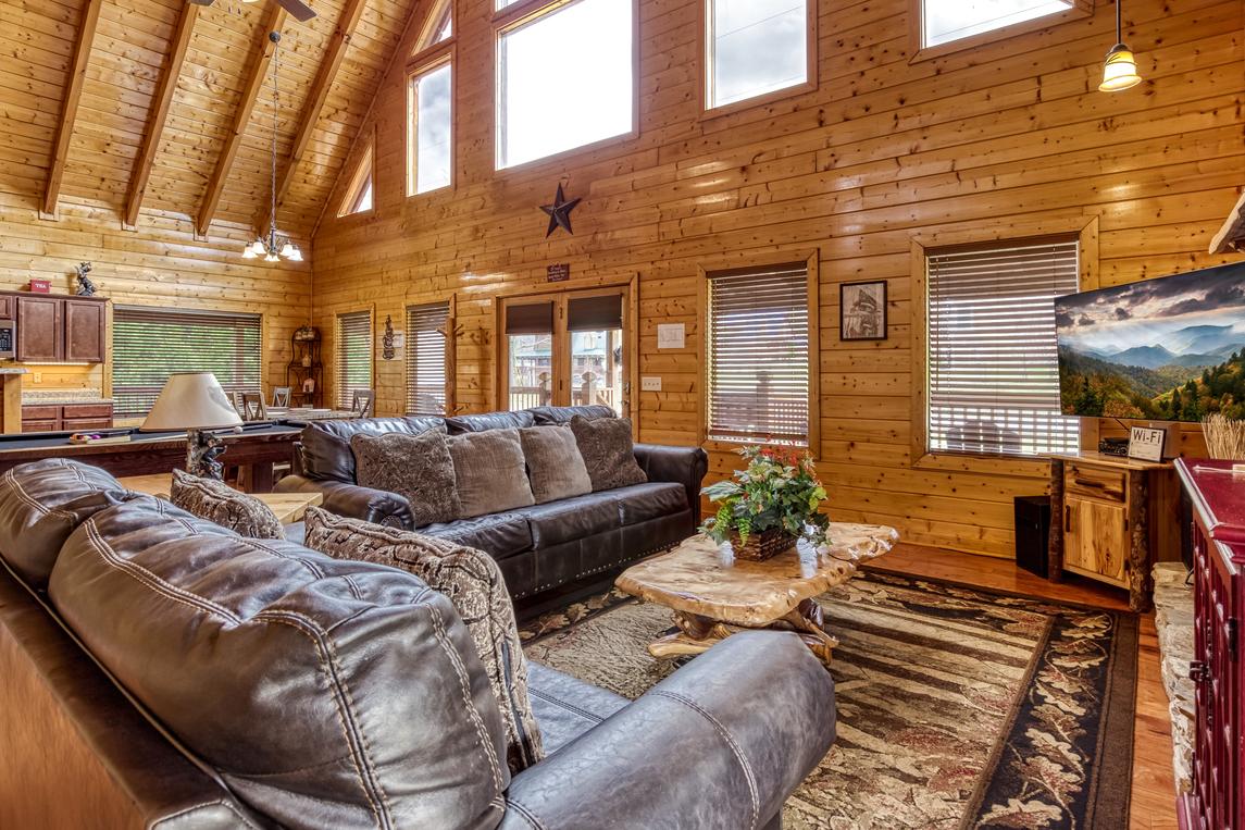 Honey Bear- New Listing