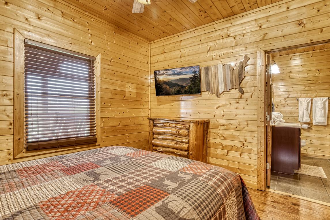 Honey Bear- New Listing