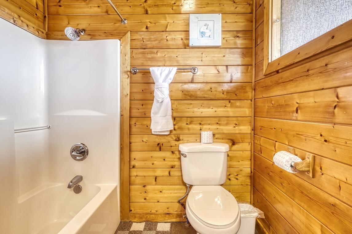 Honey Bear- New Listing