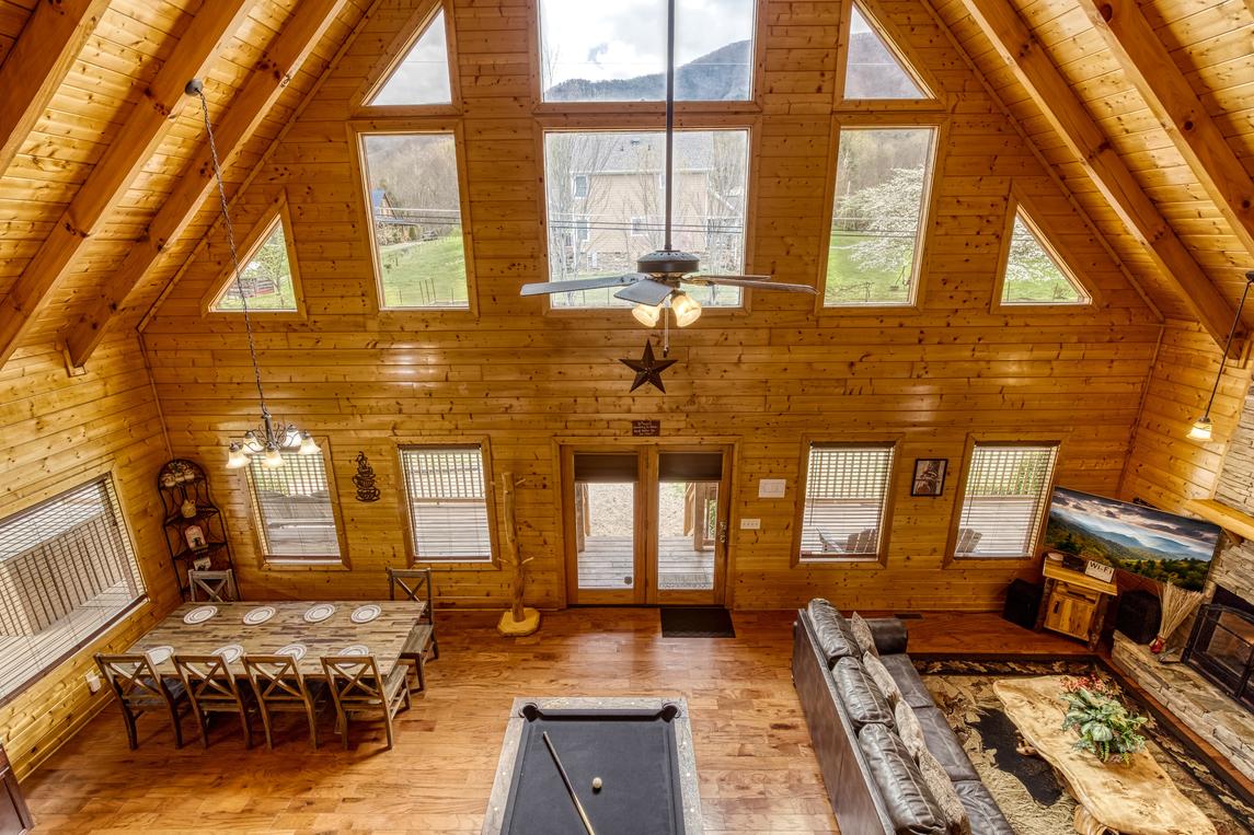 Honey Bear- New Listing