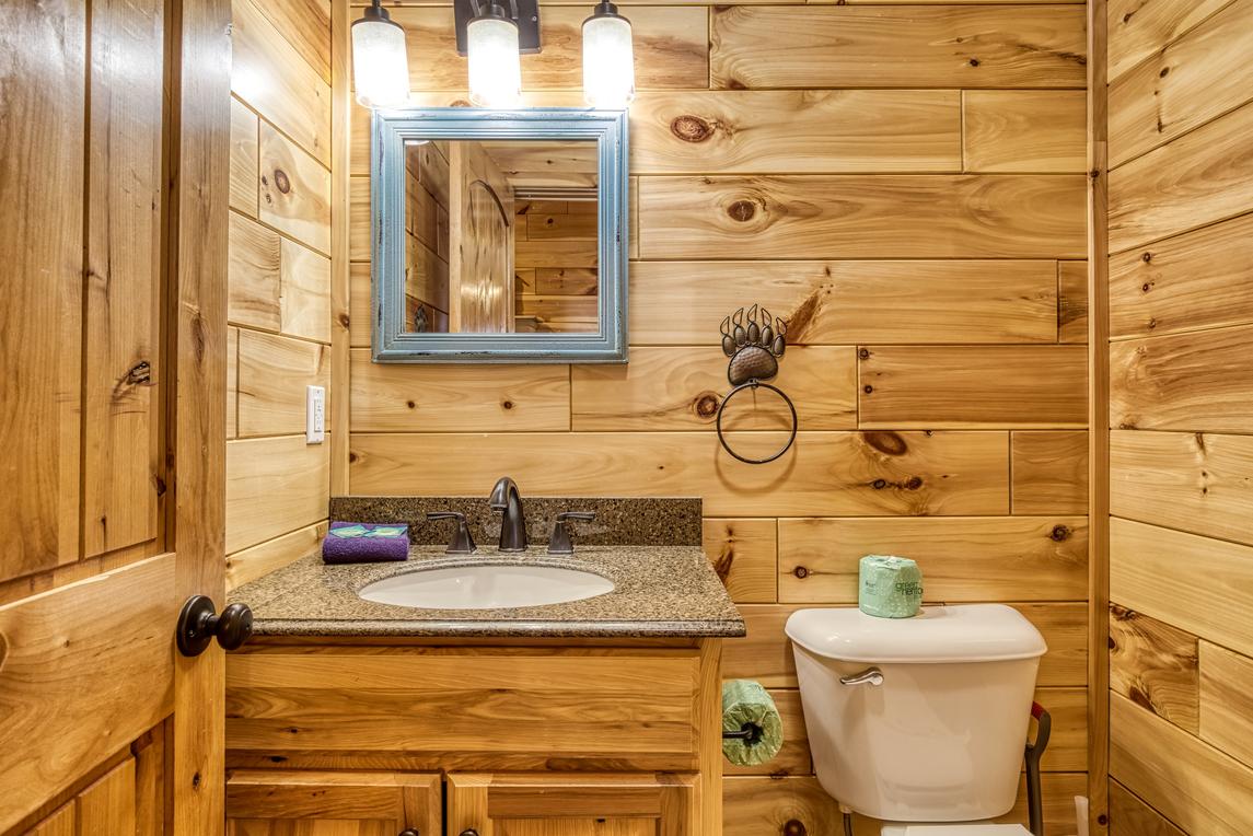 Beartastic Mountain View Lodge - New