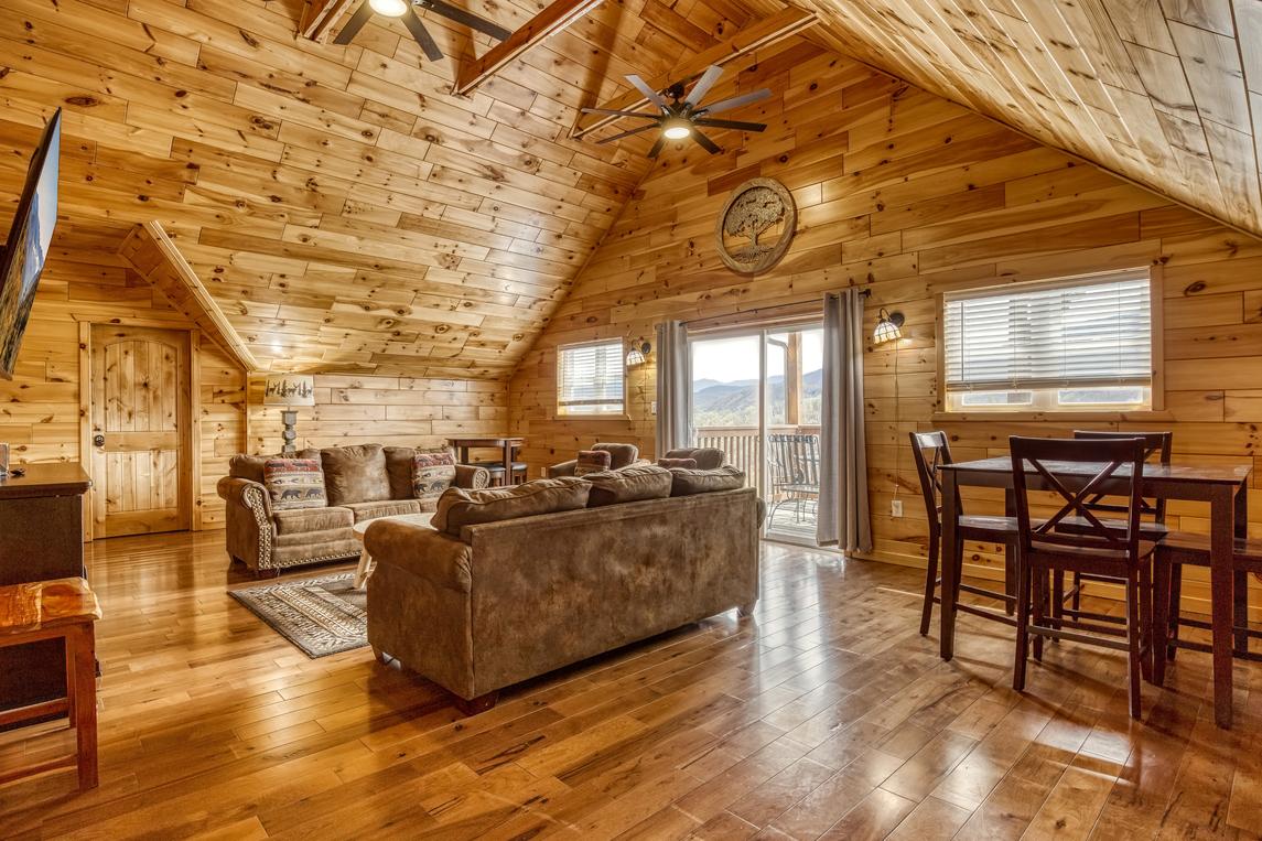 Beartastic Mountain View Lodge - New