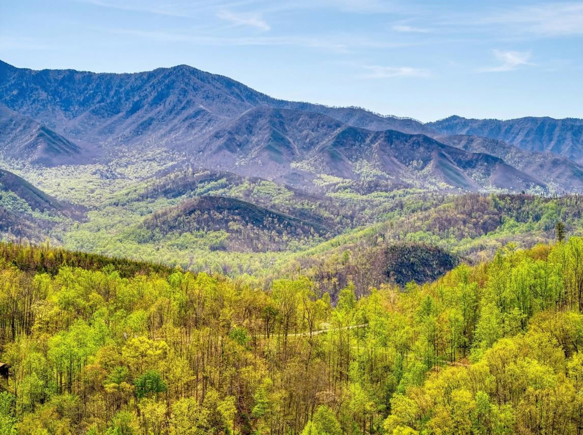 Beartastic Mountain View Lodge - New