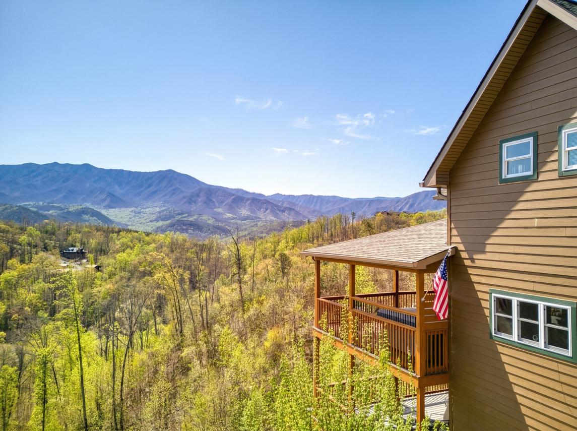 Beartastic Mountain View Lodge - New