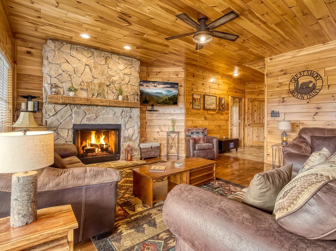 Beartastic Mountain View Lodge - New