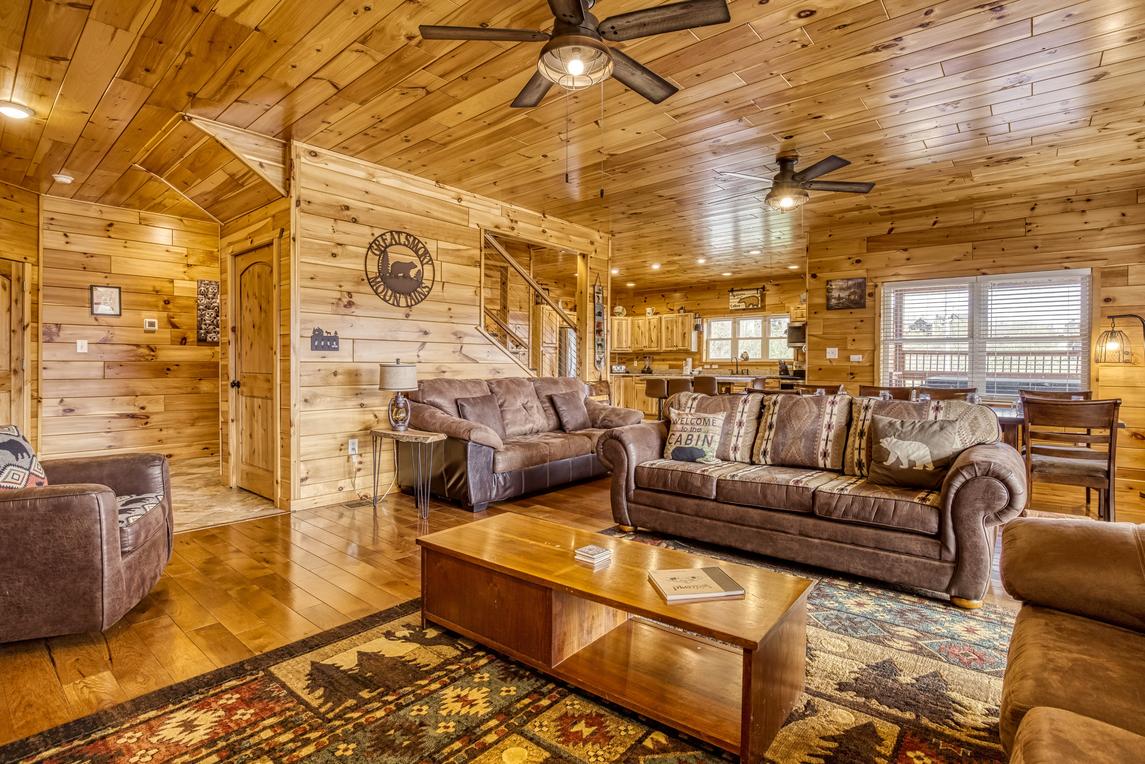 Beartastic Mountain View Lodge - New