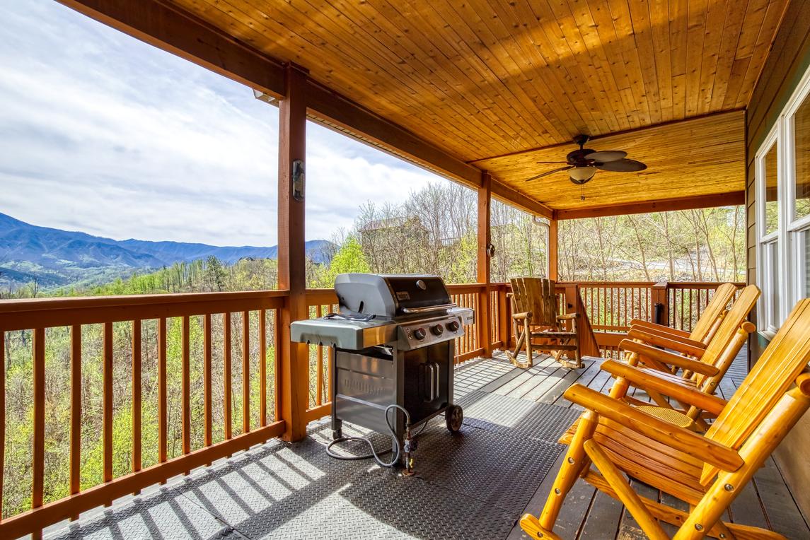 Beartastic Mountain View Lodge - New