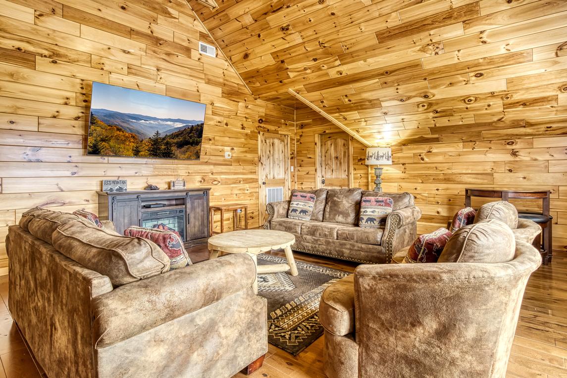 Beartastic Mountain View Lodge - New