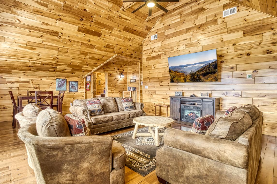 Beartastic Mountain View Lodge - New