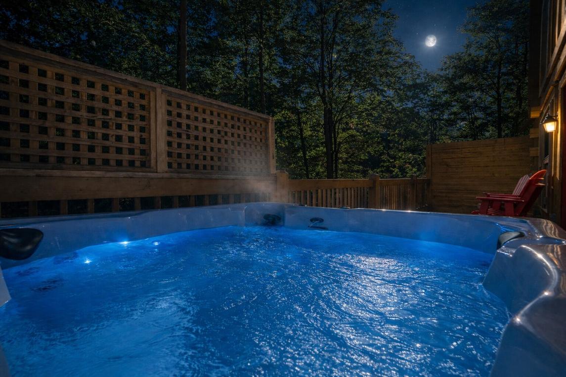 Black Bears And Fireflies 